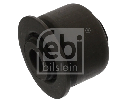 Mounting, control/trailing arm